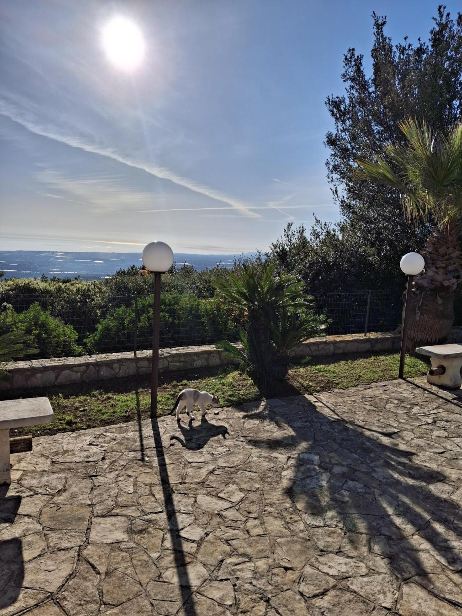 מונופולי Villa Maremonti מראה חיצוני תמונה